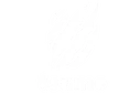 Tsume