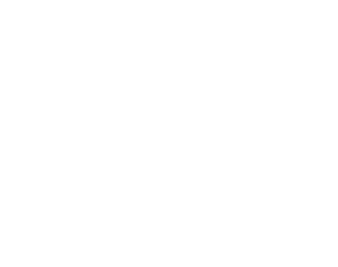 L’essentiel